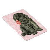 Valentine Rose Neufundland Magnet (Rechte Seite)