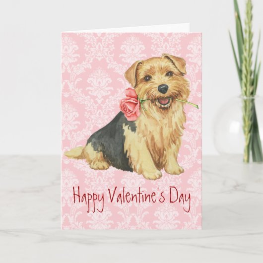 Valentine Rose Norfolk Terrier Feiertagskarte (Vorderseite)