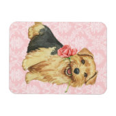 Valentine Rose Norfolk Terrier Magnet (Horizontal)