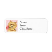 Valentine Rose Norwich Terrier (Vorne)