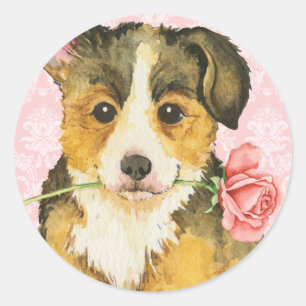 Valentine Rose Pembroke Welsh Corgi Runder Aufkleber