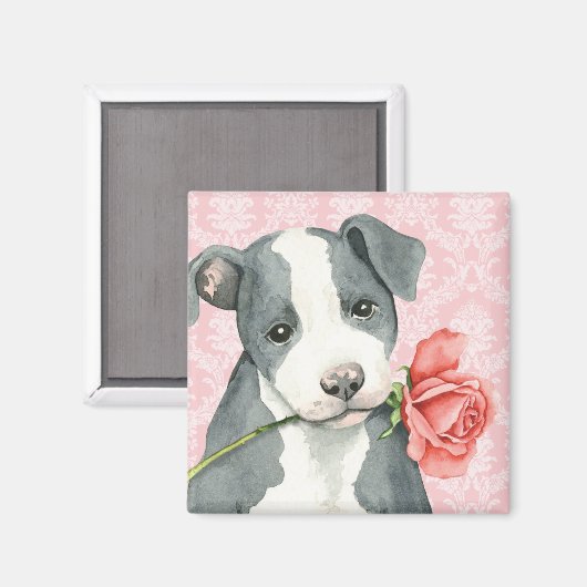 Valentine Rose Pit Bull Magnet (Vorderseite/Rückseite)