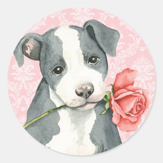 Valentine Rose Pit Bull Runder Aufkleber (Vorderseite)