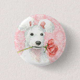 Valentine Rose Pumi Pinback Button
