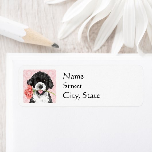 Valentine Rose PWD (Insitu)