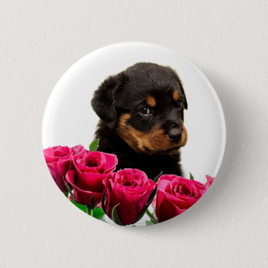 Valentine Rose Rottweiler Puppy Button (Vorderseite)
