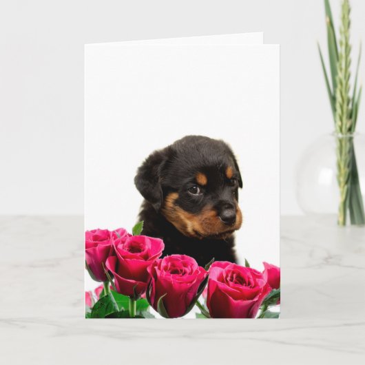 Valentine Rose Rottweiler Puppy Feiertagskarte (Vorderseite)