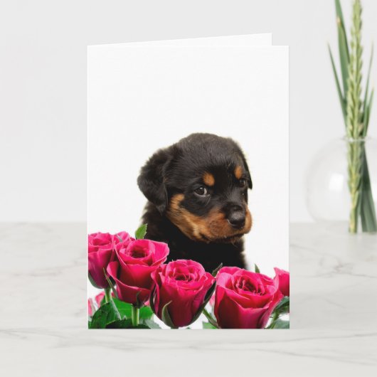 Valentine Rose Rottweiler Puppy Feiertagskarte (Vorderseite)