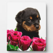 Valentine Rose Rottweiler Puppy Fotoplatte (Vorderseite)