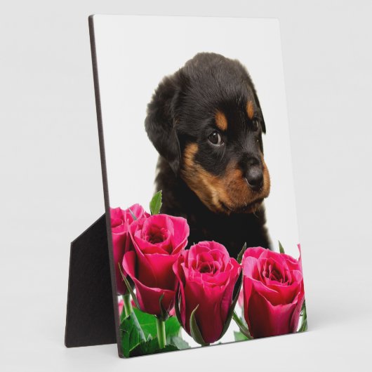 Valentine Rose Rottweiler Puppy Fotoplatte (Seite)