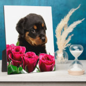 Valentine Rose Rottweiler Puppy Fotoplatte (Seite)