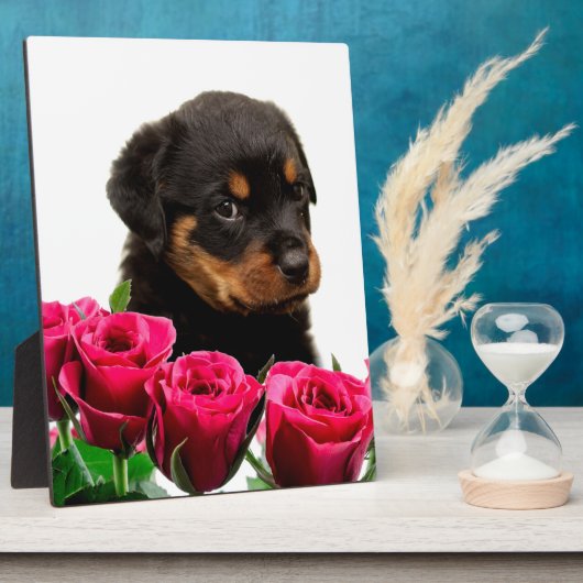 Valentine Rose Rottweiler Puppy Fotoplatte (Seite)