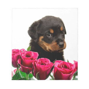 Valentine Rose Rottweiler Puppy Notizblock