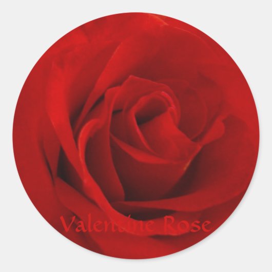 Valentine Rose Runder Aufkleber (Vorderseite)