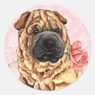 Valentine Rose Shar-Pei Runder Aufkleber