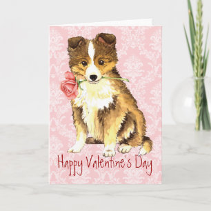Valentine Rose Sheltie Feiertagskarte