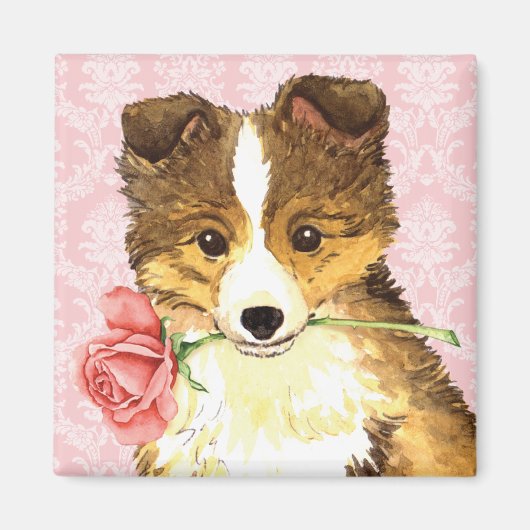 Valentine Rose Sheltie Magnet (Vorne)