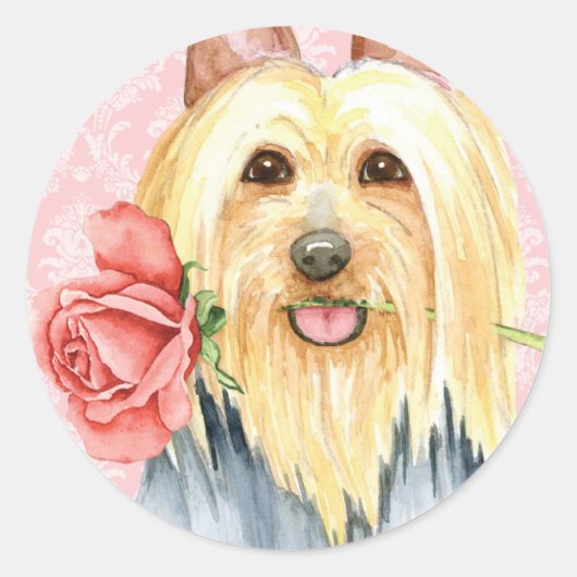 Valentine Rose Silky Terrier Klassischer Rundstick Runder Aufkleber (Vorderseite)