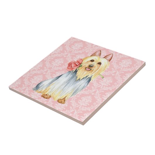 Valentine Rose Silky Terrier Tile Fliese (Seite)