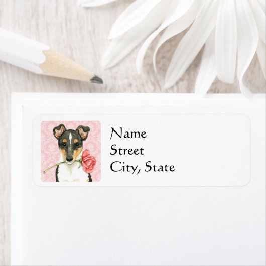 Valentine Rose Smooth Collie (Insitu)