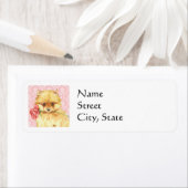 Valentine Rose Spitz (Insitu)