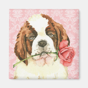 Valentine Rose St. Bernard Magnet