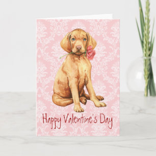 Valentine Rose Vizsla Feiertagskarte