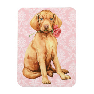 Valentine Rose Vizsla Magnet
