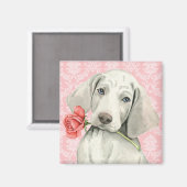 Valentine Rose Weimaraner Magnet (Vorderseite/Rückseite)