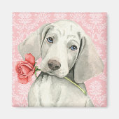 Valentine Rose Weimaraner Magnet (Vorne)