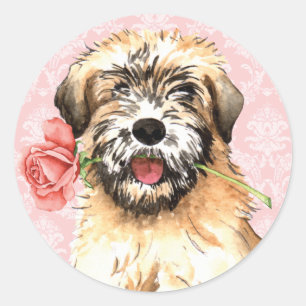 Valentine Rose Wheaten Runder Aufkleber