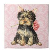 Valentine-Rose Yorkie Fliese (Vorderseite)