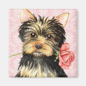 Valentine Rose Yorkie Magnet (Vorne)