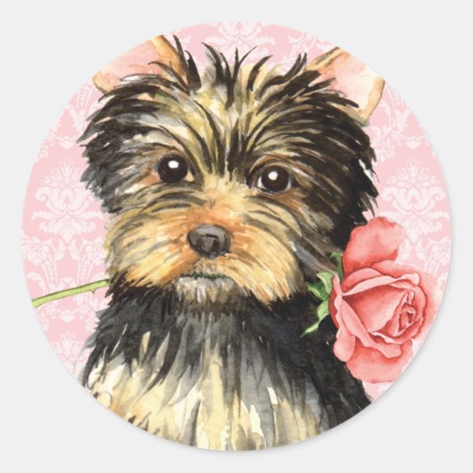 Valentine Rose Yorkie Runder Aufkleber (Vorderseite)
