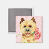 Valentine Rosen Cairn Terrier Magnet (Vorderseite/Rückseite)