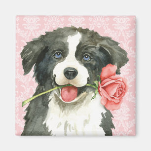 Valentine-Rosen-Grenzcollie Magnet