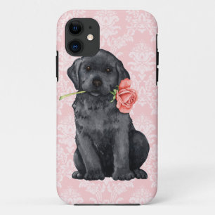 Valentine-Rosen-Schwarz-Labrador Case-Mate iPhone Hülle