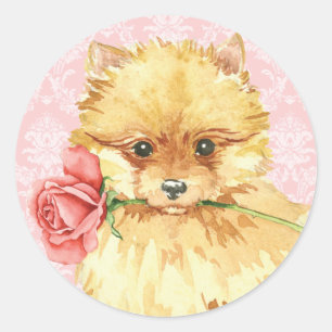 Valentine-Rosen-Spitz Runder Aufkleber