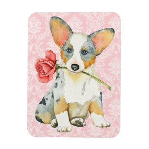 Valentine-Rosen-Wolljacken-WaliserCorgi Magnet