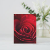 Valentine Rote Rose Feiertagspostkarte (Stehend Vorderseite)