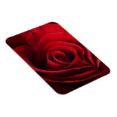 Valentine Rote Rose Magnet (Rechte Seite)