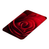 Valentine Rote Rose Magnet (Linke Seite)