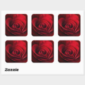 Valentine Rote Rose Quadratischer Aufkleber (Blatt)