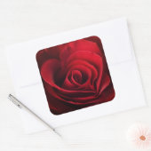 Valentine Rote Rose Quadratischer Aufkleber (Umschlag)