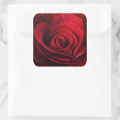 Valentine Rote Rose Quadratischer Aufkleber (Tasche)