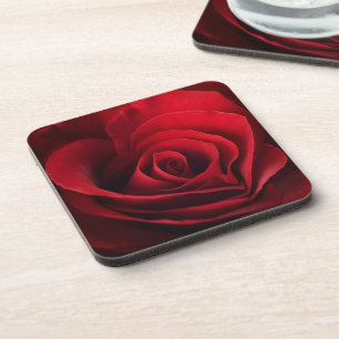 Valentine-Rote Rose Untersetzer