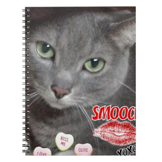 Valentine Russian Blue Cat Notizblock (Vorderseite)
