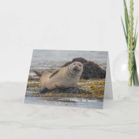 Valentine seal karte (Vorderseite)