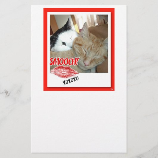 Valentine Tabby Cats Briefpapier (Vorderseite)