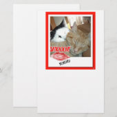 Valentine Tabby Cats Briefpapier (Vorne/Hinten)